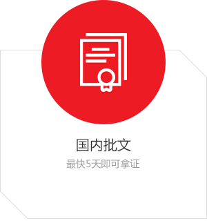 國內(nèi)批文